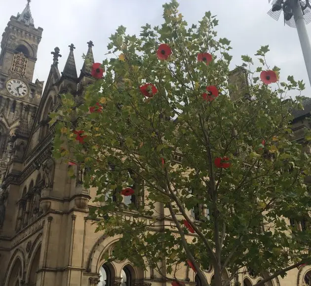 Armistice_Day_celebrations_Bradford